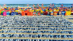 China Nanjing Longtan Port