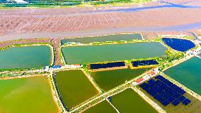 Shrimp And Crab Farming Base