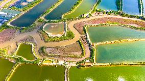 Shrimp And Crab Farming Base