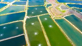 Shrimp And Crab Farming Base