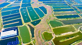 Shrimp And Crab Farming Base