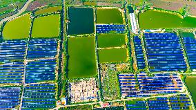 Shrimp And Crab Farming Base