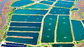 Shrimp And Crab Farming Base