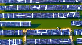 Shrimp And Crab Farming Base