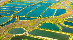 Shrimp And Crab Farming Base