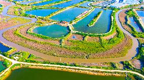 Shrimp And Crab Farming Base