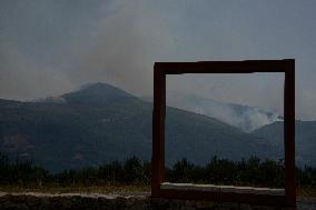 Galicia Fires Devastate Over 4,000 Hectares, Exceeding 2024 Total - Spain