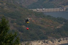 Galicia Fires Devastate Over 4,000 Hectares, Exceeding 2024 Total - Spain