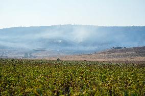 Firefighters Battle 'Fire Whirls' in Northern Spain