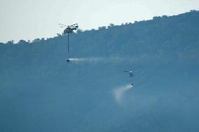 Firefighters Battle 'Fire Whirls' in Northern Spain
