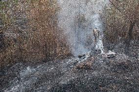 Firefighters Battle 'Fire Whirls' in Northern Spain