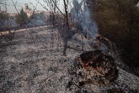 Firefighters Battle 'Fire Whirls' in Northern Spain