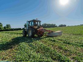 Farming in Aveyron During The Heatwave - France