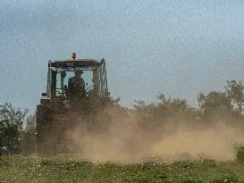 Farming in Aveyron During The Heatwave - France