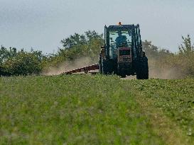 Farming in Aveyron During The Heatwave - France