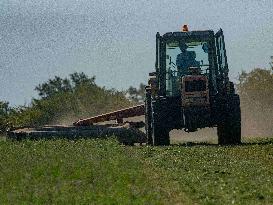 Farming in Aveyron During The Heatwave - France