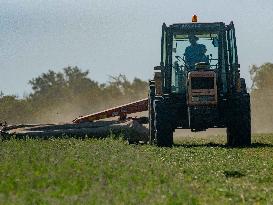 Farming in Aveyron During The Heatwave - France