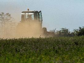 Farming in Aveyron During The Heatwave - France