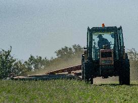 Farming in Aveyron During The Heatwave - France