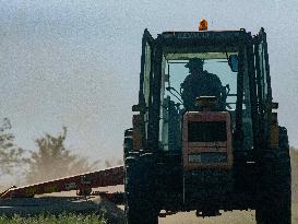 Farming in Aveyron During The Heatwave - France