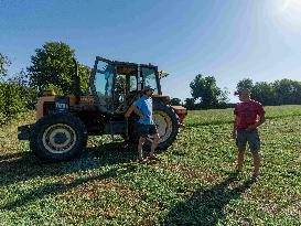 Farming in Aveyron During The Heatwave - France