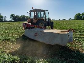 Farming in Aveyron During The Heatwave - France