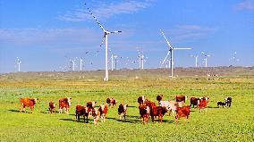 State Power Investment Corporation Ulanqab Wind Power Base