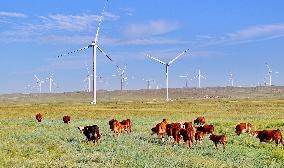 State Power Investment Corporation Ulanqab Wind Power Base