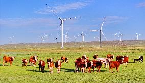 State Power Investment Corporation Ulanqab Wind Power Base
