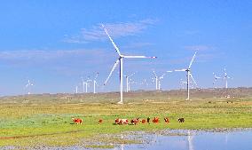 State Power Investment Corporation Ulanqab Wind Power Base