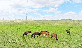 State Power Investment Corporation Ulanqab Wind Power Base