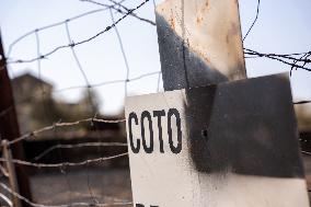 Fires in Toledo Has Already Burned 3 000 Hectares - Spain