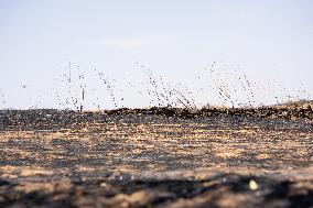 Fires in Toledo Has Already Burned 3 000 Hectares - Spain