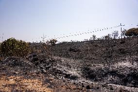 Fires in Toledo Has Already Burned 3 000 Hectares - Spain