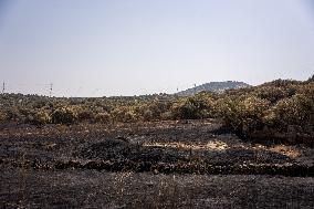 Fires in Toledo Has Already Burned 3 000 Hectares - Spain