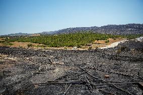1,700 Leon Residents Evacuated Due to Zamora Fire - Spain