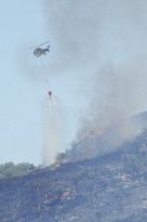 1,700 Leon Residents Evacuated Due to Zamora Fire - Spain