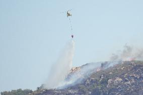 1,700 Leon Residents Evacuated Due to Zamora Fire - Spain