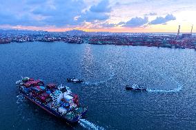 Qingdao Port Under The Setting Sun