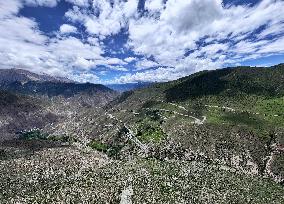 Winding Road in Tibet