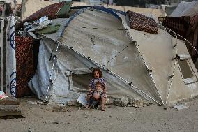 Gaza City Displacement Tents Erected for Evacuees - Gaza