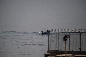 Over 30 Intercepted Trying to Reach Ceuta Coast - Spain