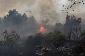 Emergency Level 2 Declared in Ourense as Fires Burn 4,300 Hectares - Spain