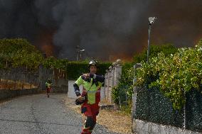 Emergency Level 2 Declared in Ourense as Fires Burn 4,300 Hectares - Spain