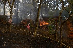 Emergency Level 2 Declared in Ourense as Fires Burn 4,300 Hectares - Spain