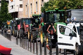 Farmers Mobilize for Wildlife Control and Compensation - Spain