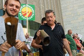 Farmers Mobilize for Wildlife Control and Compensation - Spain