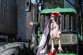 Farmers Mobilize for Wildlife Control and Compensation - Spain