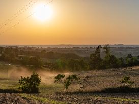 Sheep Farming Evening Pasture Due to High Temperatures in Arvieu - France