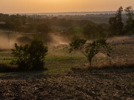 Sheep Farming Evening Pasture Due to High Temperatures in Arvieu - France